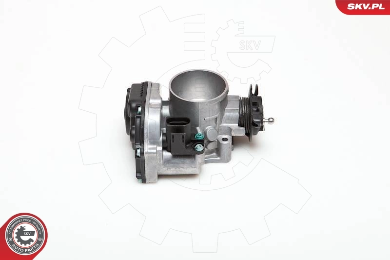 Throttle Body